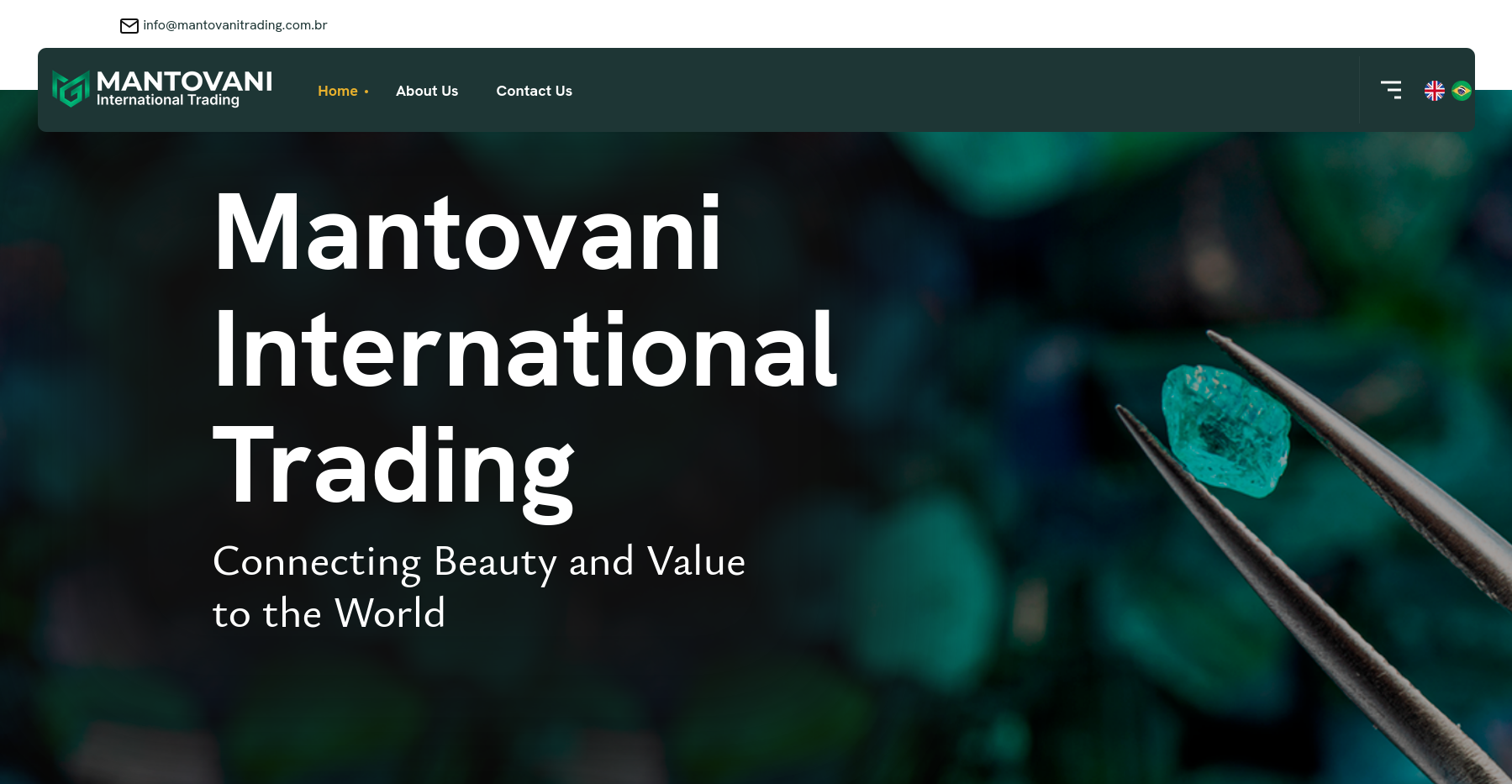 Mantovani Trading (Institucional)